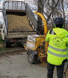 Predám štiepku z pílenia stromov, kríkov, konárov