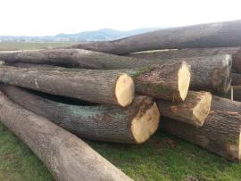 Kúpim guľatinu DB-JS-AG-BK.