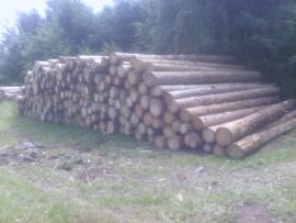 Smrk kurovec delky 5m cca 60m3 čep 20+
