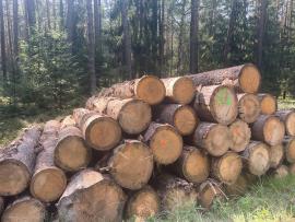 Prodám smrkovou kulatinu průmět 35+ cm délka 4m