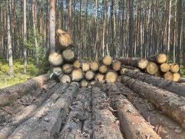 Prodám smrkovou kulatinu průmět 35+ cm délka 4m