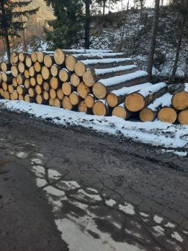 Smrek I. Trieda +40 cm, 4m