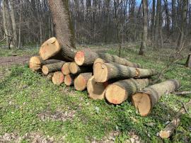 Dubová guľatina B,C,D