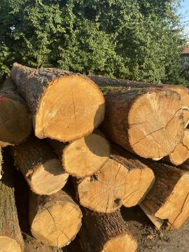 Dubová kulatina 30+