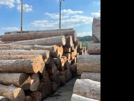 Prodám starší SM kulatinu, čep 25+, 400 m3