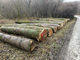 Verejná dražba dreva Jablonica