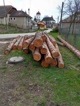 Podpalovacie triesky