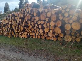 Smrek, Borovica 4m