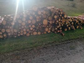 Smrek, Borovica 4m