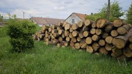 Guľatina DUB