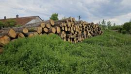 Guľatina DUB