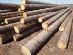Smrk Pilařská kulatina | Měkké dřevo | Kulatina | TRANS-WOOD