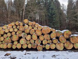 Jedle Pilařská kulatina | Měkké dřevo | Kulatina | ALBA Forrest s.r.o.