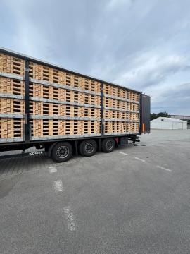 Palety Jednorázové palety | Obaly, palety | Woodproo s.r.o.