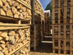 Palivové dřevo Bříza |  Palivo, brikety | Coni alnus