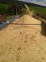 Sagflis Gran |  Energi-produkter, brensel | FOR-LARIX, s.r.o.