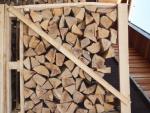 Palivové dřevo Buk |  Palivo, brikety | 19th-Wood s.r.o.
