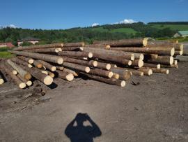 Smrk Pilařská kulatina |  Měkké dřevo | Kulatina | Peter Haladej 