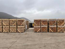 Drewno opałowe Buk |  Paliwo, brykiety | Drevopal s.r.o.