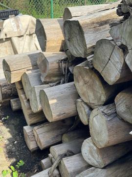 Teak Pilařská kulatina |  Tropické dřeviny | Kulatina | SOFT IT SP .ZO.O SPÓŁKA Z OGRANICZONĄ ODPO