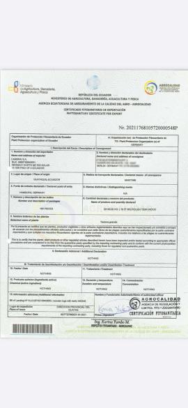 Teak Pilařská kulatina |  Tropické dřeviny | Kulatina | SOFT IT SP .ZO.O SPÓŁKA Z OGRANICZONĄ ODPO