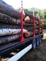 Peuplier Rondin de placage |  Bois dur | Rondin | Pristaš